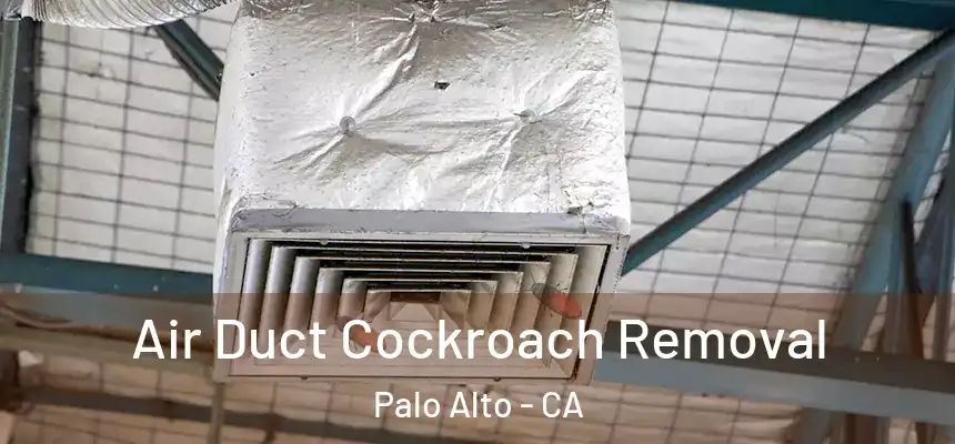 Air Duct Cockroach Removal Palo Alto - CA