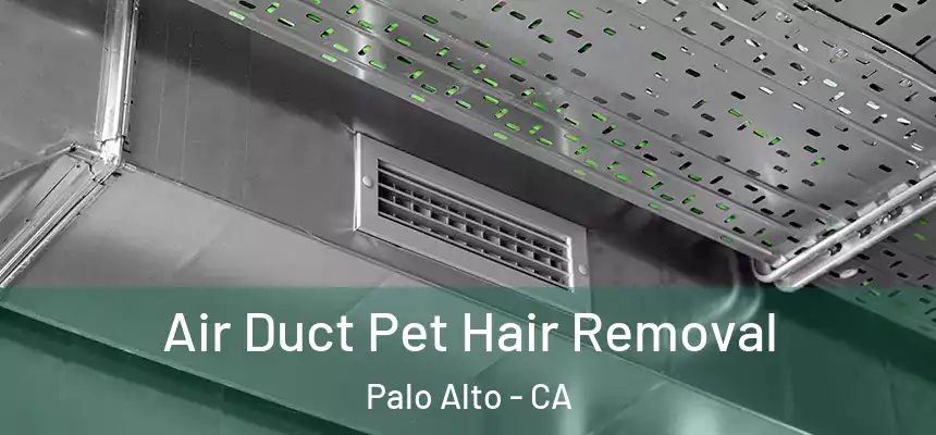 Air Duct Pet Hair Removal Palo Alto - CA