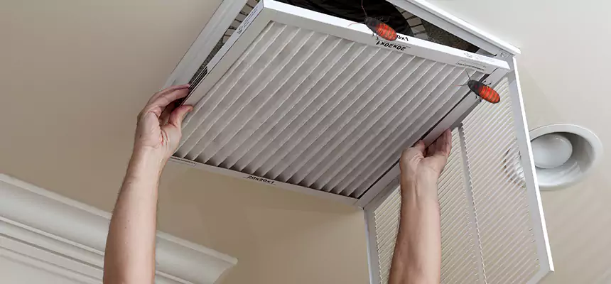 Our Insect Removal from Air Ducts Services in Palo Alto, CA