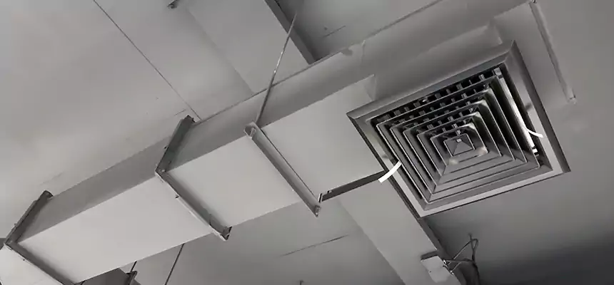 Our Rodent Droppings In Vents Services in Palo Alto, CA