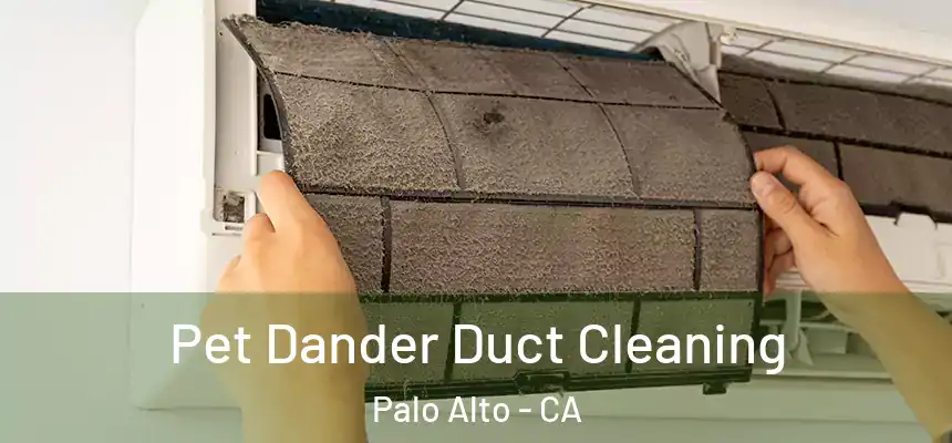 Pet Dander Duct Cleaning Palo Alto - CA