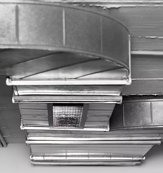 Professional Air Duct Pet Hair Removal in Palo Alto, CA