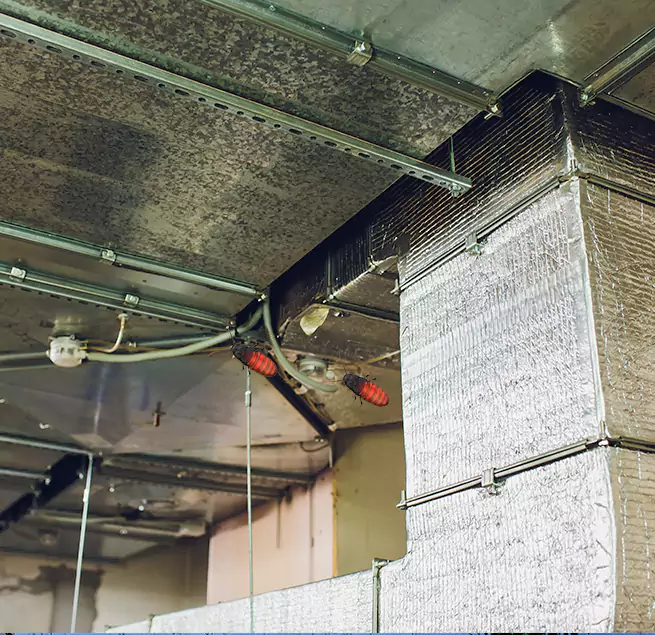 Why Homeowners & Businesses Trust Us in Palo Alto, CA?