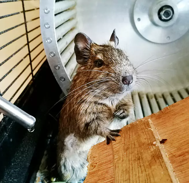 Why Homeowners & Businesses Trust Us Palo Alto, CA?