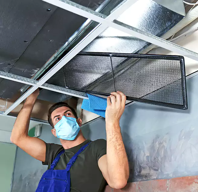 Why Homeowners Businesses Trust Us in Palo Alto, CA