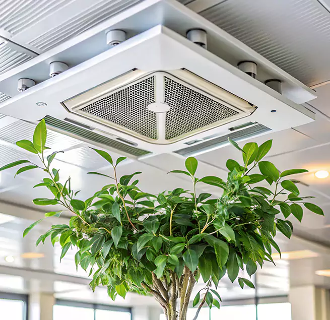 Why Homeowners & Businesses Trust Us in Palo Alto, CA?